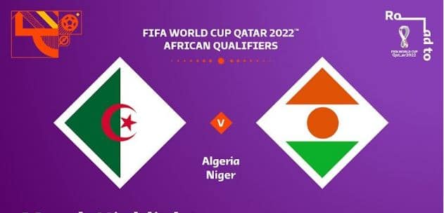الجزائر والنيجر